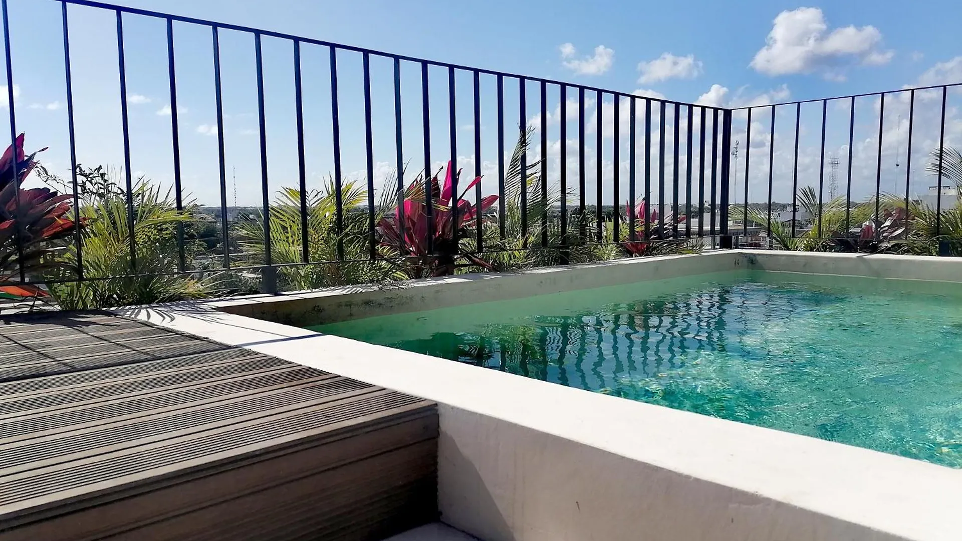 Bright & Centric Apartment With Rooftop Pool In Downtown Tulum